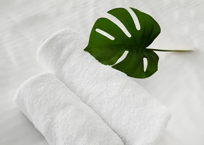 Icon Urban Living Bed & Breakfast Trikala (Thessaly)